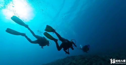 神秘海域现美人鱼踪迹？或改写海洋生物认知