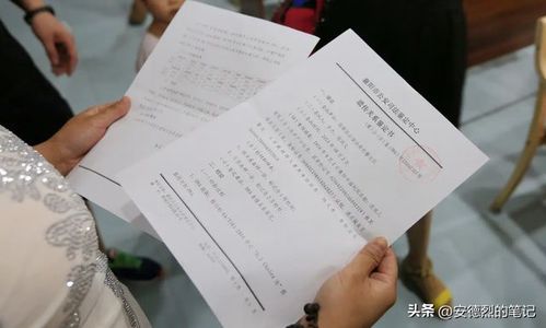 谢霆锋亲子鉴定真相揭秘：基因检测结果如何影响公众舆论？